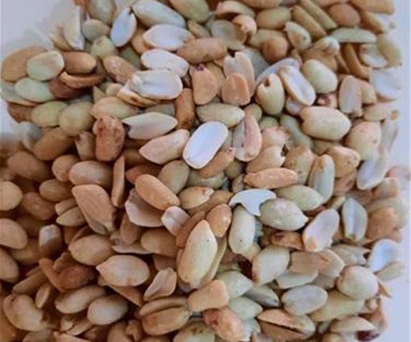 تصویر 2 از بادام زمینی مغان با بافت ترد و طعم متعادل